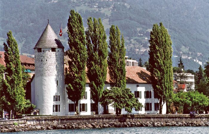 zoom_la_tour_chateau.jpg