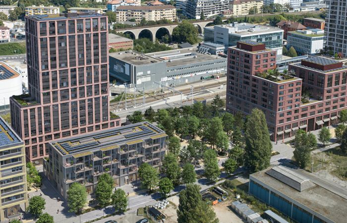 Central-Malley_1600x500.jpg